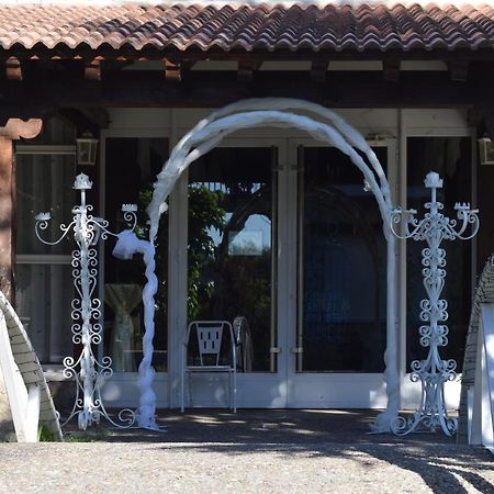 Hotel Las Casitas Del Jardin Tudela de Duero Eksteriør billede